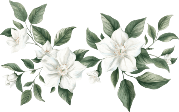 Ornament